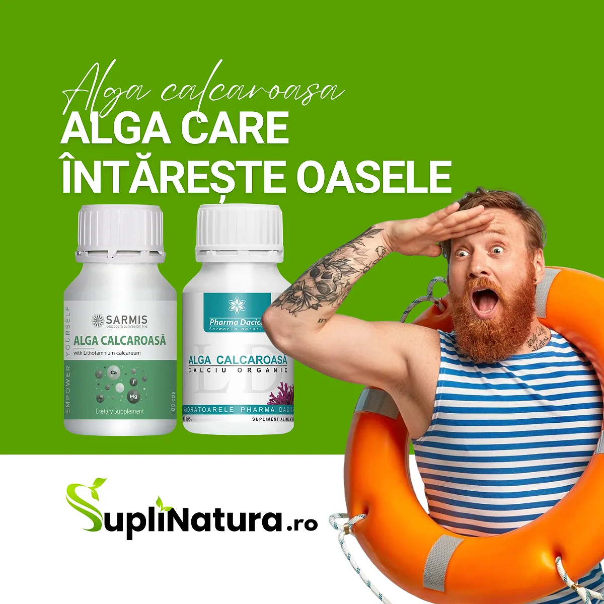 Alga Calcaroasa